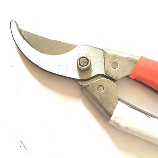 Kéo Cắt Cành lưỡi cong 200mm