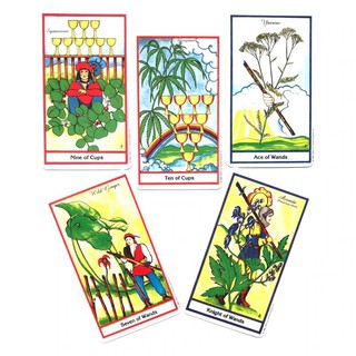 Bộ bài Herbal Tarot Size Thường A6