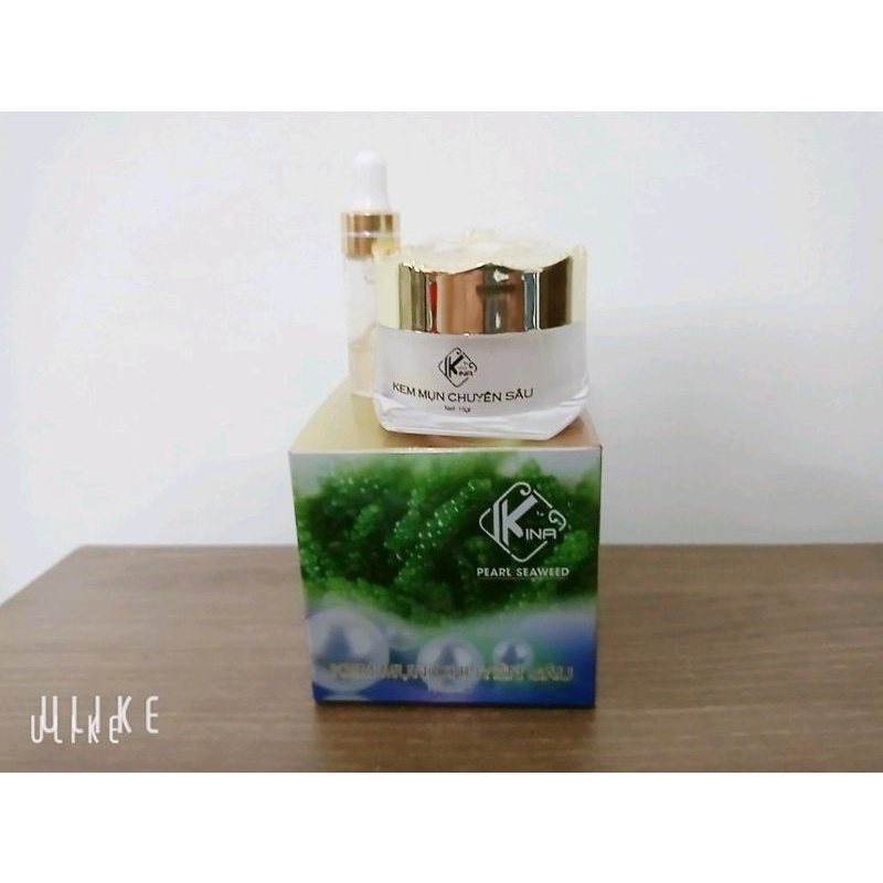 Kem mụn nám dưỡng da chuyên sâu KINA
