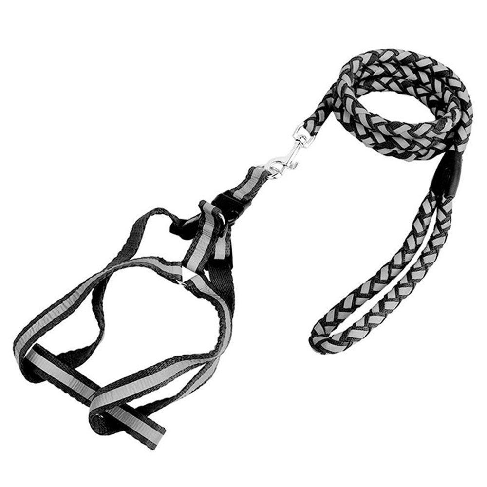 Dây Dắt Thú Cưng Đi Dạo Dây Bện Phản Quang Điều Chỉnh Được DANILO