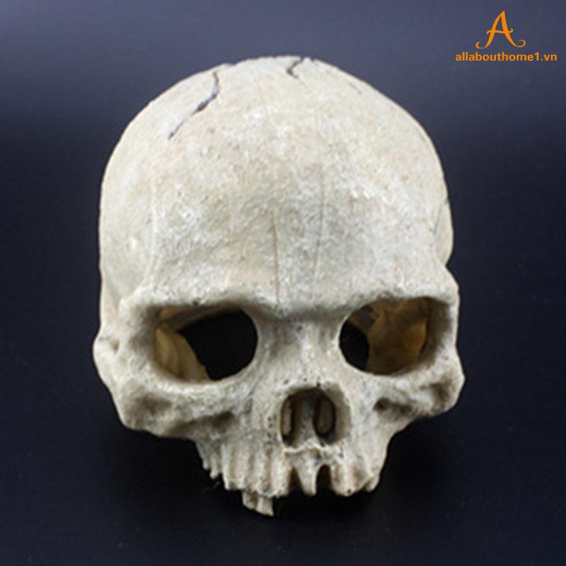 Mô hình đầu lâu trang trí bể cá