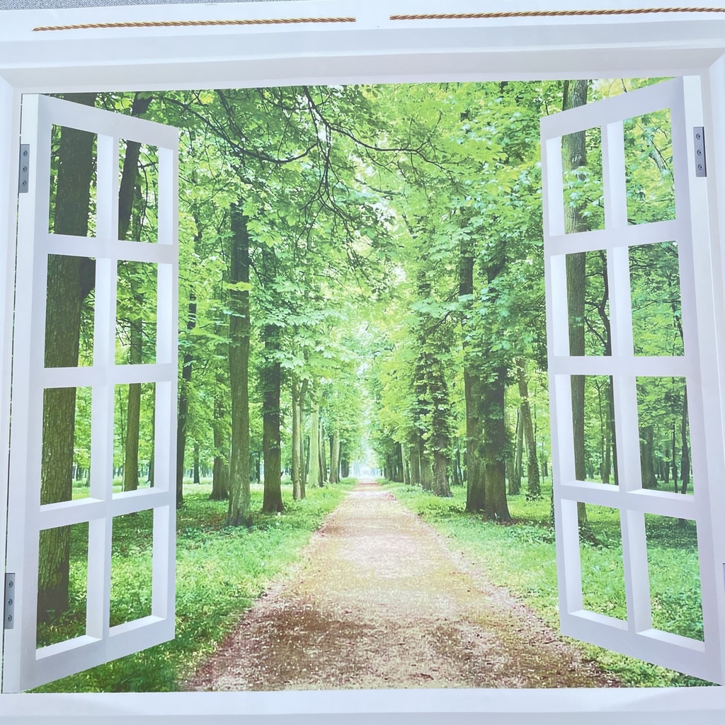 Decal dán tường hàn quốc trang trí phòng ngủ TUNG DECOR AY823 Khung cửa sổ