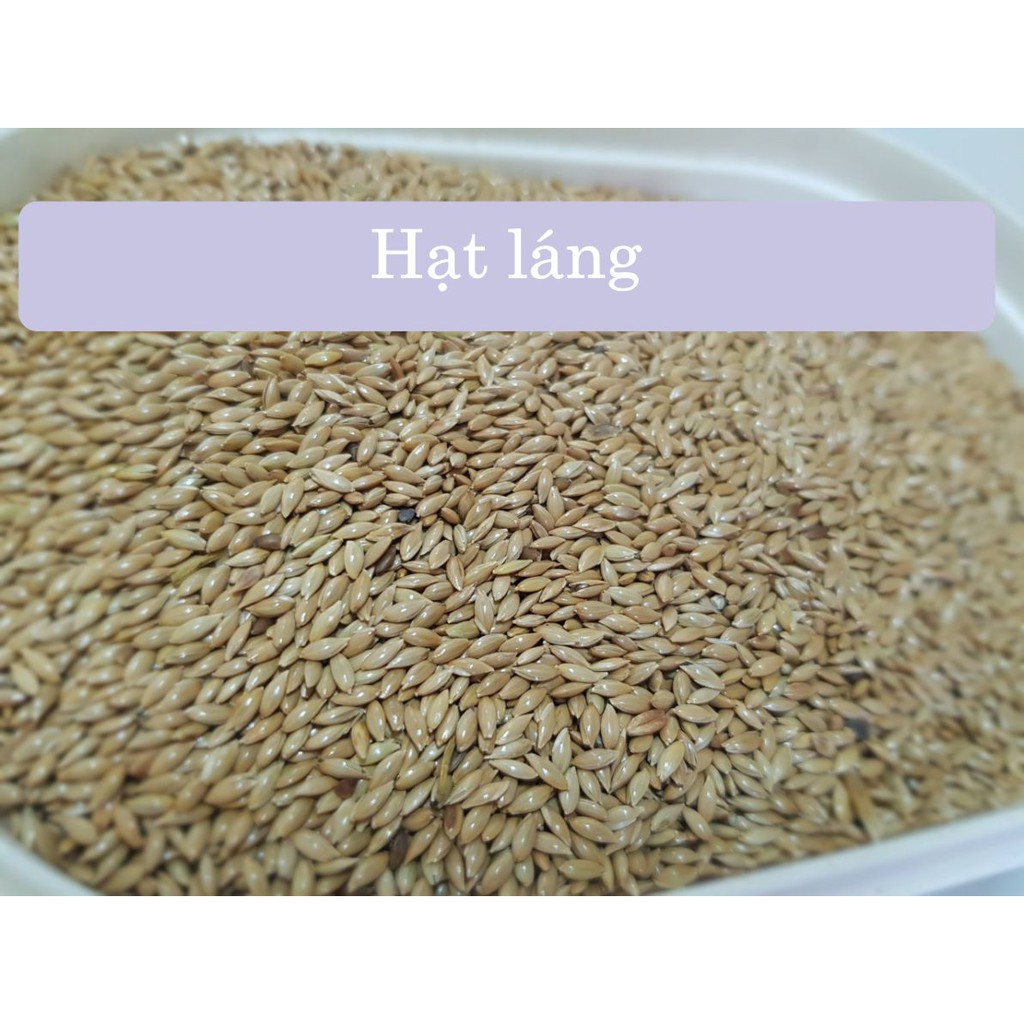 Hạt Láng gói 500g - 1kg