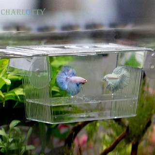 Hộp nuôi cách ly tôm cá cảnh bằng acrylic trong suốt