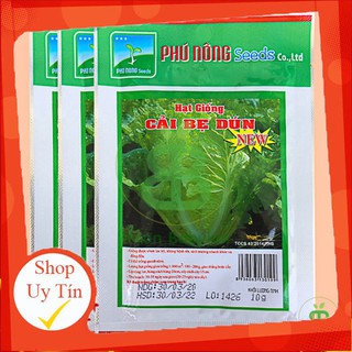 - Hạt Giống Cải Bẹ Dún chất lượng.