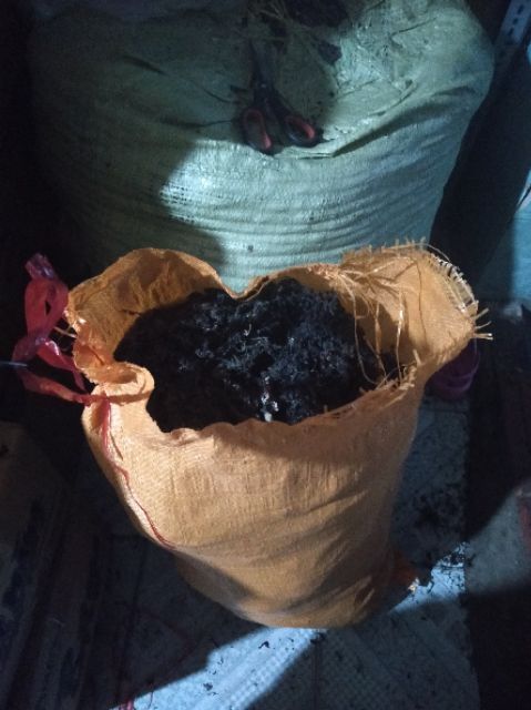 RONG BIỂN NẤU NƯỚC SÂM NGON