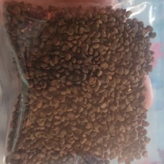 Hạt giống hoa atiso đỏ 100g