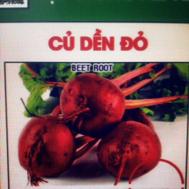 Hạt giống củ dền