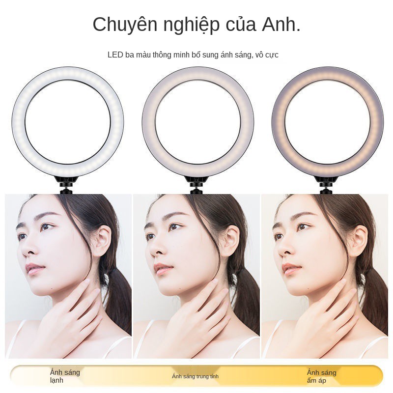 ◙○Điền nhẹ điện thoại di động hỗ trợ trực tiếp Gậy chụp ảnh tự sướng đa chức năng Chân máy từ trần đến sàn Thiết bị