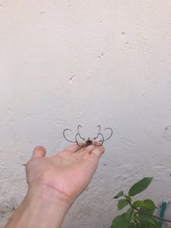 Lưỡi câu lục soài cao 9