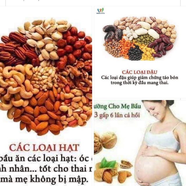 Ngũ cố. Ls