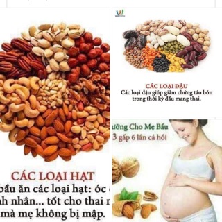 Ngũ cố. ls