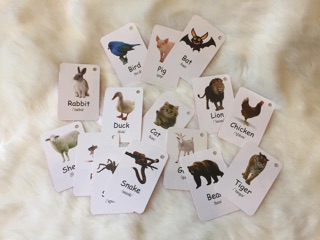 📚📚 Flashcard tích hợp công nghệ 📚📚