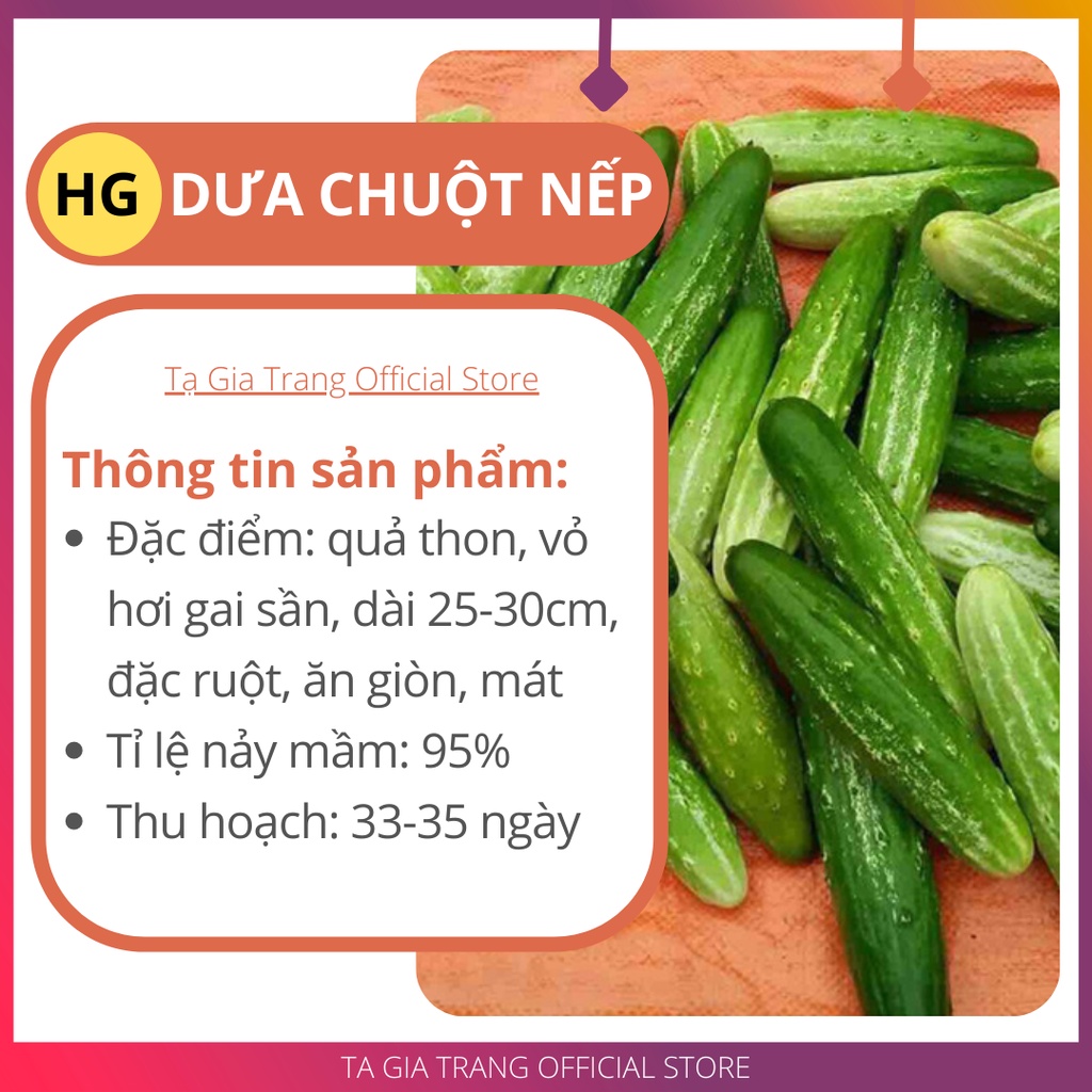 Hạt giống Dưa chuột nếp - Shop hạt giống Tạ Gia Trang