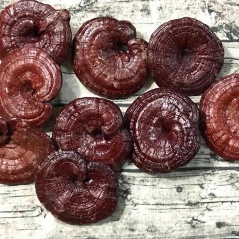 [HÀNG MỚI VỀ] Nấm Linh Chi Đỏ 6 Năm Tuổi Hàn Quốc Túi Nâu 1kg [ Hàng Mới Về ]