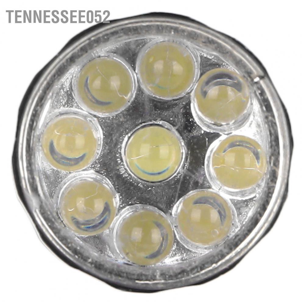 Tennessee052 Cat Shell Comb Safe Massage Hair Removal Grooming for Little Pets Bunnys Cats