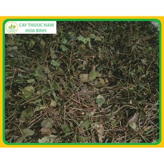 [GIÁ BÁN BUÔN ]1 kg Chè vằng sẻ ( Đã Sao Vàng Hạ Thổ)
