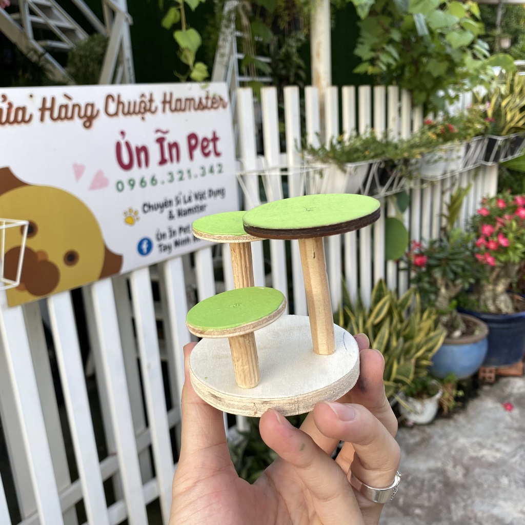 Trang trí chuồng hamster, Thang cụm bậc tròn