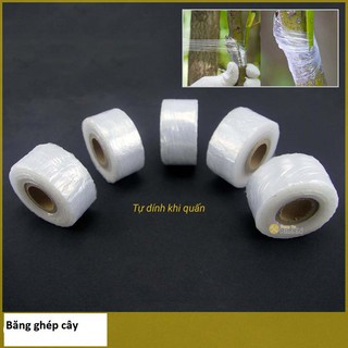 Băng keo ghép cây tự hủy 120m