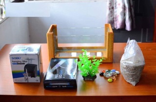 Bể cá Mini