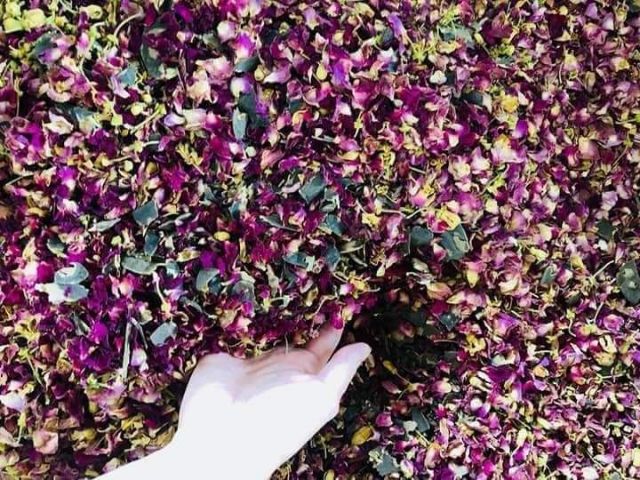 Gội đầu Karose shine | BigBuy360 - bigbuy360.vn