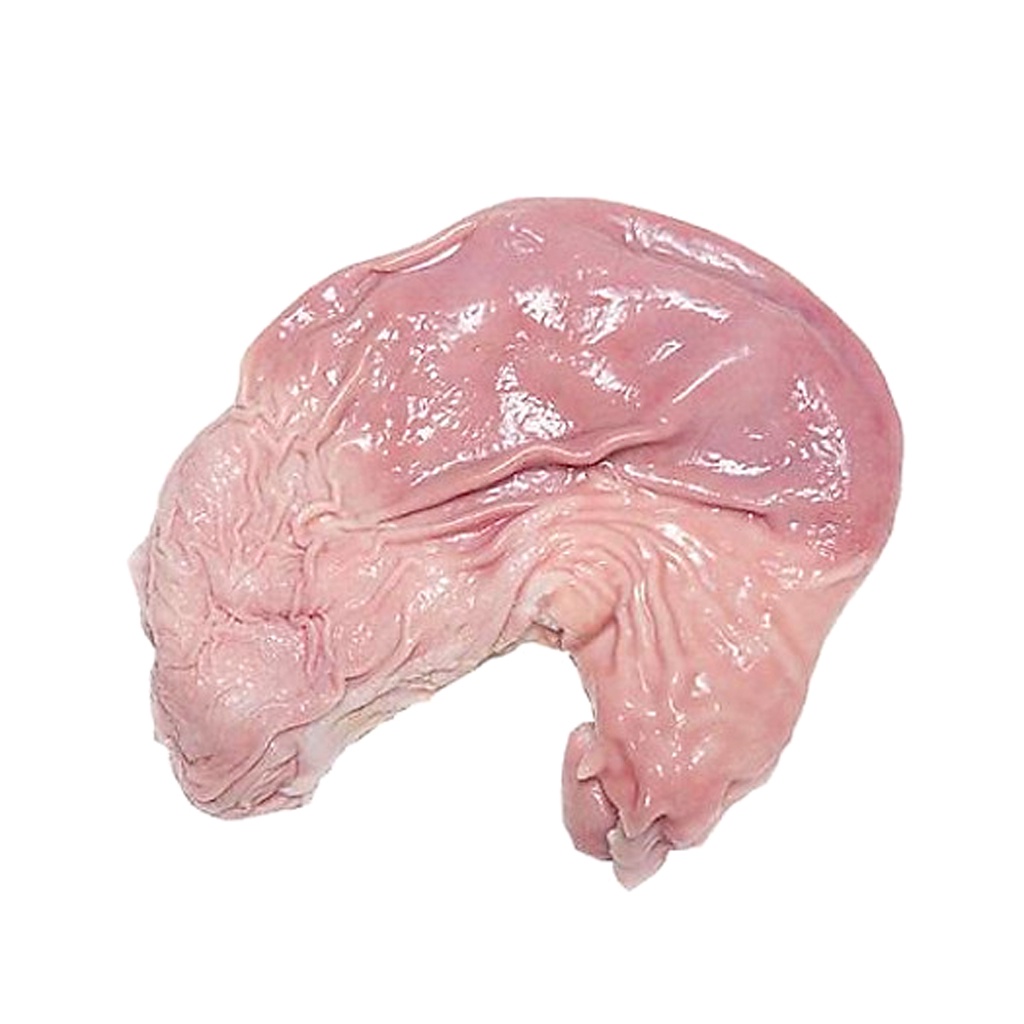 Dạ dày heo, bao tử heo 1kg hàng chuẩn siêu ngon - Ship Hỏa Tốc Hà Nội