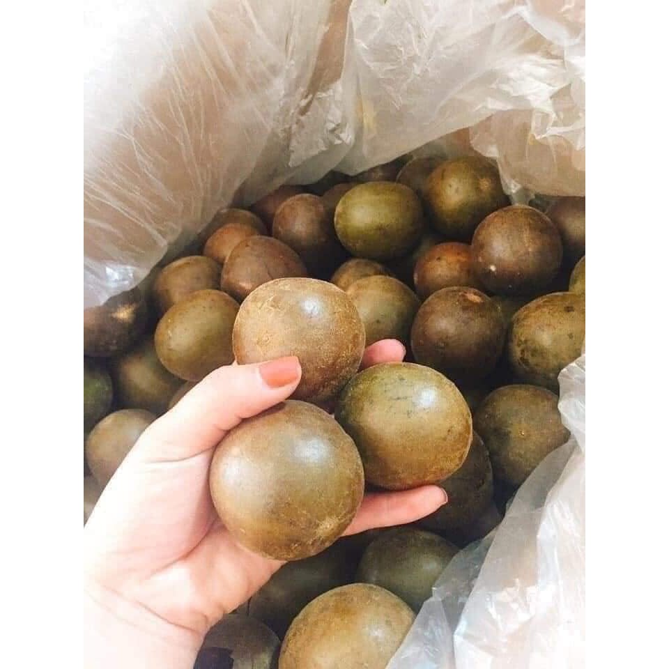 QUẢ LA HÁN, QUẢ TO VÀ GIÀ
