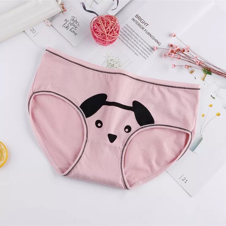Quần lót cotton viền hình thú cute [BI &amp; CI]