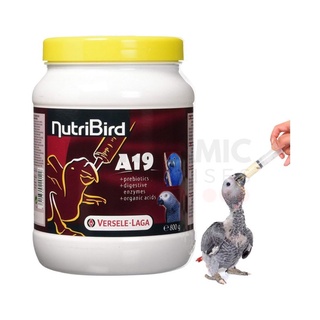 100g Bột đút chim con