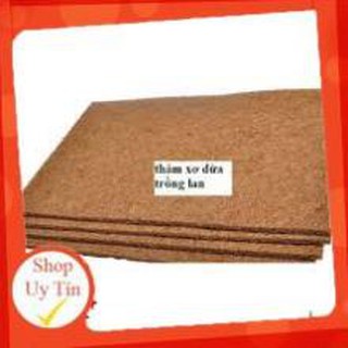 Thảm xơ dừa ép kích thước 50x50 cm, giá thể giữ ẩm cho cây trồng chậu