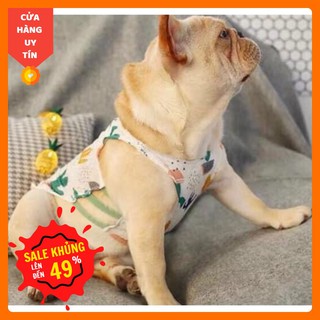 Áo lưới hở hang cho chó mèo [ HÀNG SẴN] dành cho các boss sang chảnh