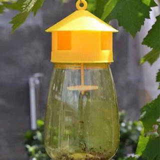 Dụng Cụ Bẫy Ruồi Vàng Hàng Loại 1 hàng loại 1