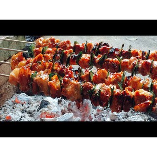 Combo 5 Cây giống móc mật 90k