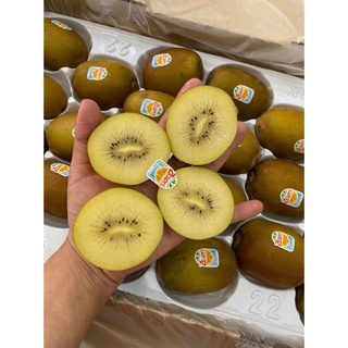Kiwi Vàng New Zealand