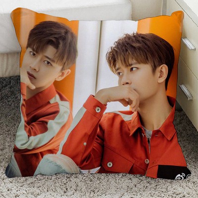 Gối IN HÌNH Nhậm Gia Luân gồm cả vỏ và ruột chất đẹp tiện lợi idol diễn viên cpop