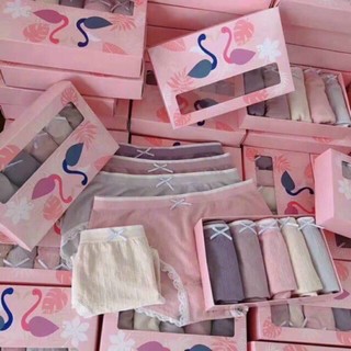 Sét 5 Quần lót đúc su thiên nga hàng mới về