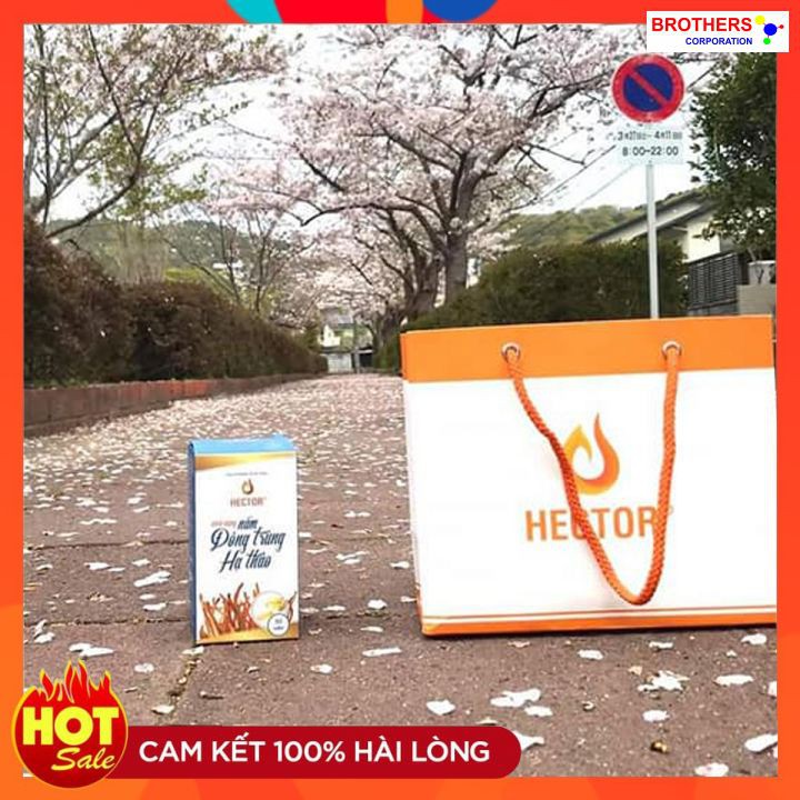 [Chính hãng] Viên nang đông trùng hạ thảo Hector 100% (Lọ 30 viên x 250 mg) | BigBuy360 - bigbuy360.vn