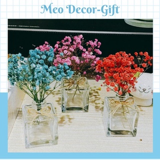 Lọ hoa baby khô trang trí decor ( có video ảnh thật cuối)