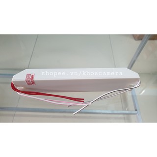 Tăng phô điện tử - Balat Rạng Đông