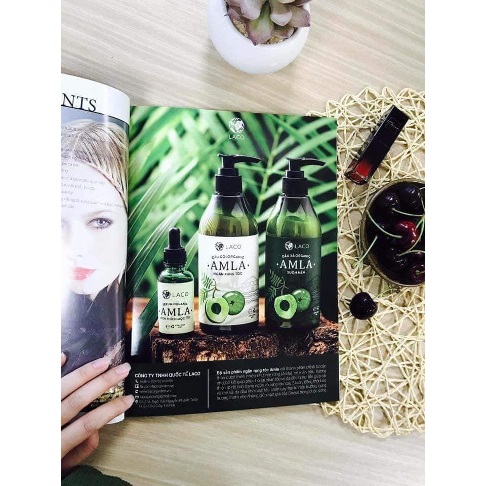 Dầu Gội Đầu Trị Gàu, Ngăn Rụng Tóc Organic Amla | BigBuy360 - bigbuy360.vn