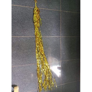 dây tua rua trang trí bóng jumbo