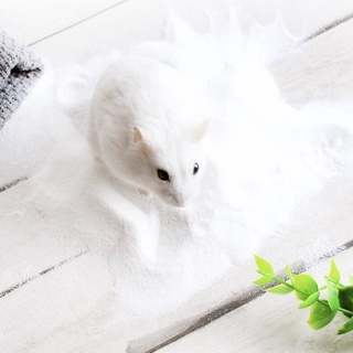 Cát tắm cho Hamster mùi Nho , Dâu, Hoa hồng, Baby, Trà xanh , Táo , Bưởi