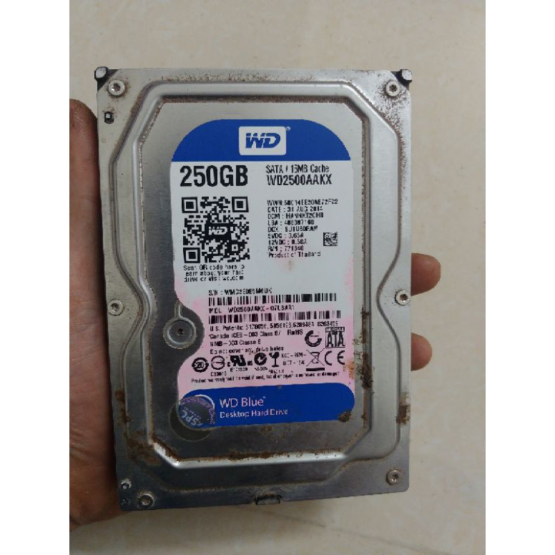 Ổ cứng 250gb