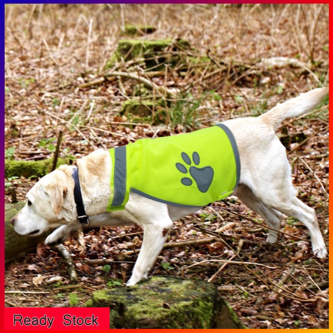 Lk Áo Vest Đi Bộ Đường Dài Màu Xanh Lá Dạ Quang In Dấu Chân Cún An Toàn Cho Chó Cưng