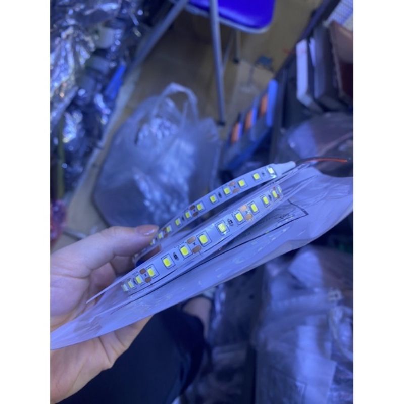 CUỘN LED DÂY DÁN 5 mét SMD2835 120 bóng ÁNH SÁNG TRẮNG - VÀNG ẤM - TRUNG TÍNH