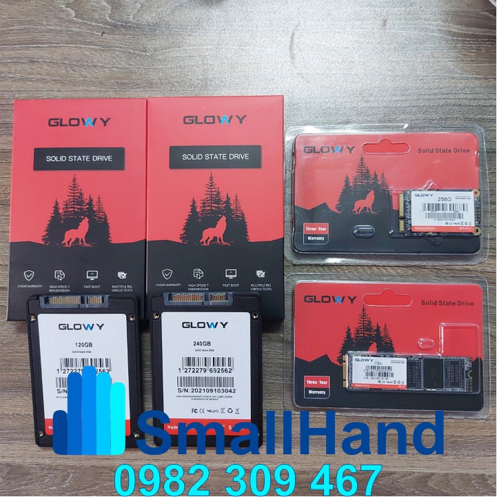 Ổ cứng SSD Gloway (SATA III) các model M2 / mSATA / 2.5” – CHÍNH HÃNG – Bảo hành 3 năm SSD 120GB/240GB/256GB/480GB | BigBuy360 - bigbuy360.vn