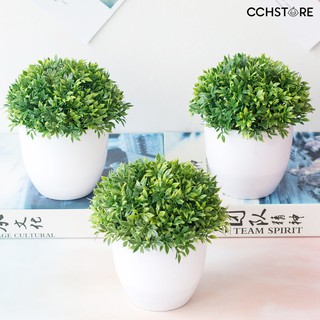 Chậu cây giả mini dùng trang trí tiện dụng