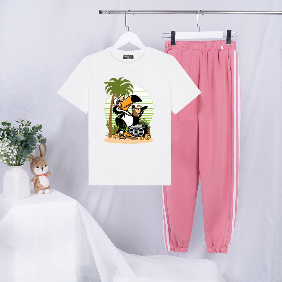 Sét Bộ Quần Áo Ulzzang Mùa Hè Nữ Mặc Đi Chơi Xinh Cute, Áo Phông Cotton Ngắn Tay In 3D Quạ Du Lịch Mix Quần Thun Bo Gấu