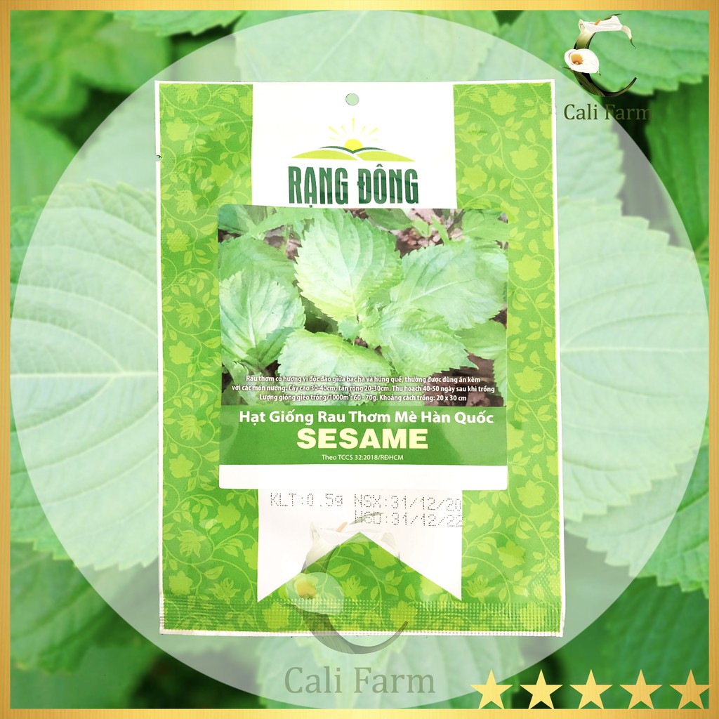 Hạt giống Rau Thơm Mè Hàn Quốc SEASAME (Lá Vừng) 0.5gr