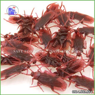 Con gián giả đồ chơi cho chó mèo, chơi khăm